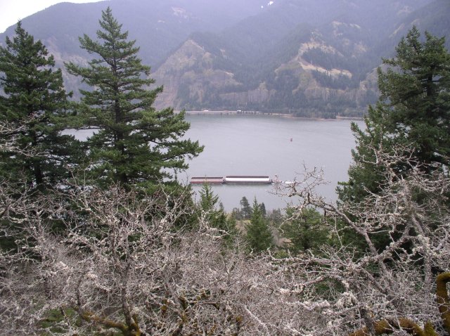 3.24.06 Dog Mountain 057 